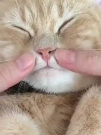 磨脚器