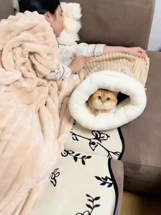 睡袋猫窝室内专用冬款保暖半封闭式大号猫咪睡袋深度睡眠猫咪被窝#猫咪用品 #冬款睡袋 #猫咪睡眠 #宠物好物 #室内猫窝