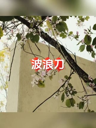 狼牙土豆专用刀家用切薯条薯格波纹刀波浪刀切菜神器土豆片切片器#波浪刀 #切片 #切片器 #切片刀 #刀具