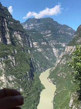 #洗发水 #在抖音入手的好东西 #无限回购的宝藏单品 #打开暑假的100种方式 #男士神仙单品