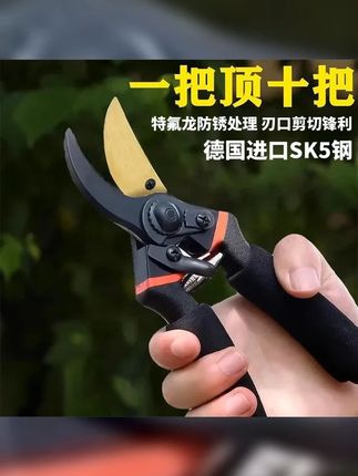 园林花卉修枝剪刀 刃口锋利 轻松省力 #修剪树枝 #修枝剪 #树枝专用剪刀 #园林工具 #园林修剪专用剪刀