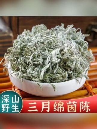 茵陈精选绵茵陈白蒿茵陈茶正品茵陈新货 #茵陈 #茵陈茶 #茵陈红枣茶 #茵陈大枣汤