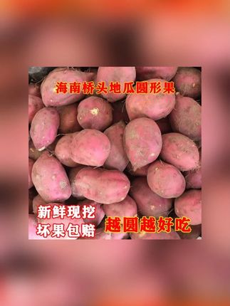 海南桥头富硒地瓜 #香甜粉糯 #无筋无丝 #地瓜 #红薯 #软糯香甜