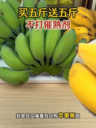 在高山种植的香蕉,老人小孩都能吃,都是果农新鲜采摘,都是现摘现发的噢。 #现摘现发新鲜到家 #优质农产品 #口感特别好吃 #香甜软糯