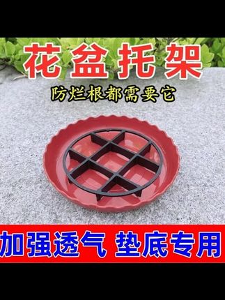 花盆底部透气托架花盆垫高底垫透气垫耐用加厚透气防烂根支架托架 #花卉植物园 #长寿花度夏 #长寿花 #长寿花养护 #防烂根托架