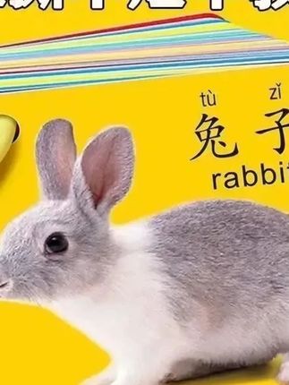 家人们看过来!这套宝宝认知卡绝了!5本全套涵盖五官、数字、日常物品,高清大图超吸睛,宝宝一拿就放不下~撕不烂材质超耐造,边玩边学认物快,早教启蒙一步到位!0-3岁宝宝闭眼入,每天10分钟,认知力up up!现在入手超划算,错过拍大腿!#宝宝早教好物  #认知卡片推荐  #幼儿启蒙玩具  #03岁必备  #边玩边学神器