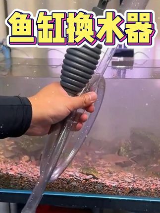 鱼缸底砂里积攒很多鱼便,用换水器配合洗沙头,轻松搞定 #水族 #养鱼日记 #鱼缸换水 #换水器