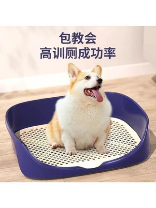 狗狗厕所小型中型犬大号尿盆尿盘狗尿尿便便神器专用宠物用品大全#狗狗厕所 #狗尿盆 #便便神器 #宠物厕所 #狗狗用品
