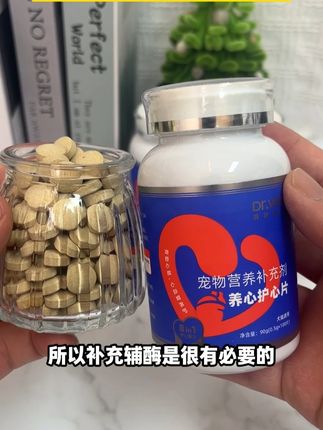 猫猫出现喘、气短一定要重视起来了,定期补充辅酶Q10真的很重要#宠物辅酶q10 #养猫经验分享 #新手养猫