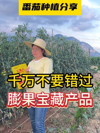 千万不要错过膨果宝藏产品 #膨果肥 #三农 #西红柿种植 #番茄种植 #农业种植