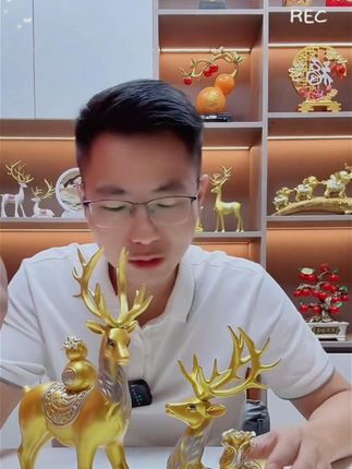 #小鹿摆件 #摆件 #好物推荐🔥 #品质好物 #超便宜超划算