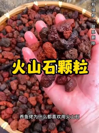 云南腾冲火山石颗粒多肉花卉拌土兰花铺面鱼缸底沙滤材铺面石#火山石颗粒 #火山石 #铺面石 #铺面石子