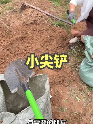 特别推荐这款园艺工具给大家#种菜  #园艺工具 #铁锹  #园艺铲子 #农用工具