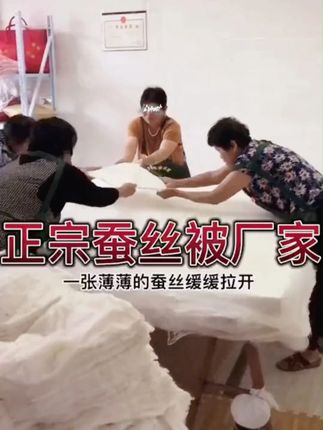 正宗高档纯手工蚕丝被100桑蚕丝加厚保暖秋冬被二合一被子母被芯 ,#手工蚕丝被 #二合一被 #子母被芯 #秋冬被 #蚕丝被