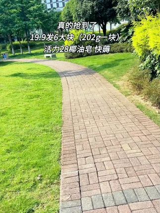 活力28【专属】植物洗衣皂 202g*6块 家用去污去渍椰油成分抑菌温和 #植物洗衣皂 #椰油抑菌 #6块装 #温和去污 #活力28
