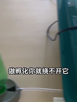 这款机器让你孵化成功率突破98% 这款机器让你孵化成功率突破98%#孵化器 #人工孵化 #三农养殖 #养殖技术
