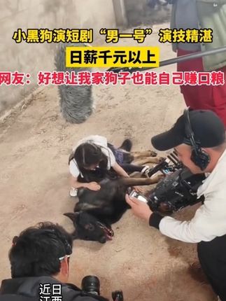 #流油海鸭蛋  爱吃蛋黄的姐妹有福了,#双蛋黄海鸭蛋  来了,个个起沙流油,就像在空口吃蟹黄一样!配粥下饭也超绝香迷糊了!#咸鸭蛋  #下饭神器 7