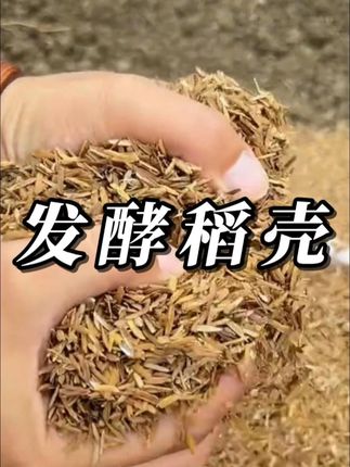 养花种菜想要土壤肥沃疏松透气,你就往土里加入发酵稻谷壳! #种植小技巧 #稻谷壳 #有机肥 #营养土 #家庭种植