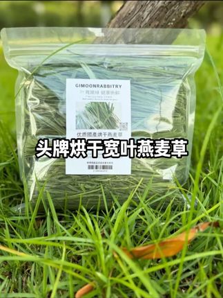 燕麦草开箱视频|超级好吃的辅草#宠物兔 #宠物vlog #家有宠物 #侏儒兔 #安哥拉
