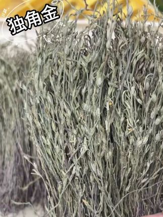 独脚金 根茎叶10克 20克 50克起拍 #地方特色 #独脚金 #干货分享