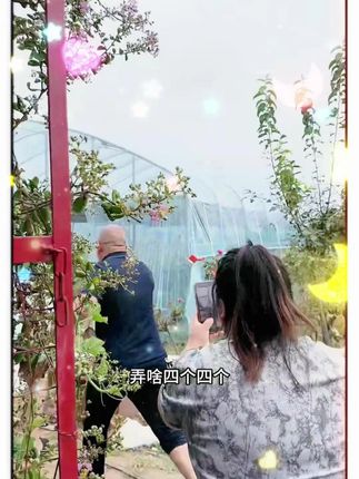 正宗王洛红烧猪蹄,拍三发五,到手五个大猪蹄子只要99.9,带筋带肉,非常划算,放心去拍吧,老乡们#好吃 #超便宜超划算 #好物推荐🔥