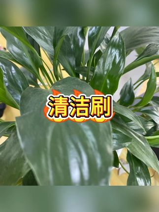 缝隙刷 #清洁神器 #厨房去污 #刷子套装 #细节清洁 #居家必备