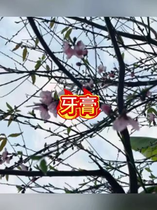 牙膏含氟防蛀牙膏奥拉氟亮白健齿矫正专用牙膏清新修护#牙膏 #牙膏推荐 #牙膏over #牙膏的妙用 #牙膏牙刷