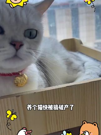 洛帕无谷猫粮高蛋白健康营养鸡肉牛肉全阶段主粮易消化益生菌 养猫人快来薅 洛帕家的猫粮现在价格真的太划算了!#猫粮 #猫粮试吃 #猫粮推荐
