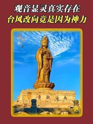 这里发生了什么 #探秘 #奇闻异事 #普陀山 #传统文化