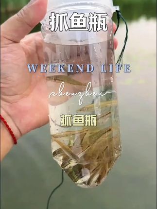 #钓鱼 #爱生活爱钓鱼 #户外