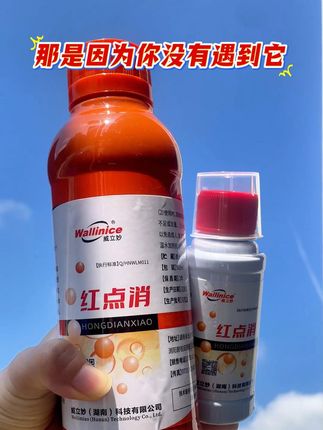 鱼身有红点,这是锚头鳋,也是寄生虫,试试这个红点消#病虫害防治#水产养殖#养鱼日记#花白鲢养殖#四大家鱼养殖