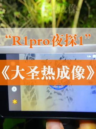 带着英睿R1pro夜探小树林,让我们看看夜晚的秘密 #热成像 #大圣热成像 #热成像仪 #夜生活开始了 #户外活动嗨起来
