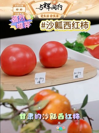 #沙瓤西红柿 甘肃沙瓤西红柿5斤顺丰包邮新鲜应季上市,农场现摘现发#西红柿 #沙瓤西红柿推荐 #水果 #好物推荐 @DOU+小助手