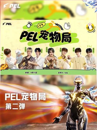 【PEL宠物局】第二弹 #猫狗来了PEL都拍群像 #2025PEL夏决倒计时2天 #2025PEL夏季赛总决赛
