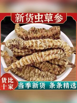 云南虫草参地参干货白虫草竹节参草石蚕煲汤泡酒 #虫草参 #虫草参干货 #虫草参泡酒 #虫草参茶