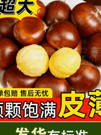 丹东板栗大丰收了,19.9到手五斤赶紧冲 #优质农产品 丹东板栗大丰收了,19.9到手五斤赶紧冲 #优质农产品 #助农 #乡村新农人 #家乡好货