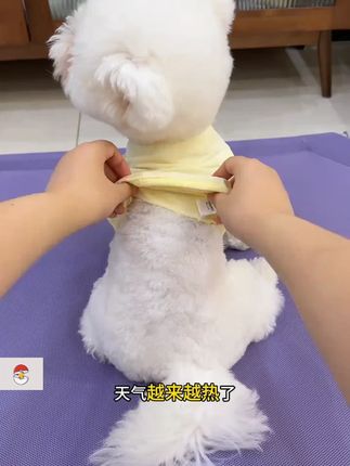 #每日推荐 好物推荐 #好东西一起分享 上热门