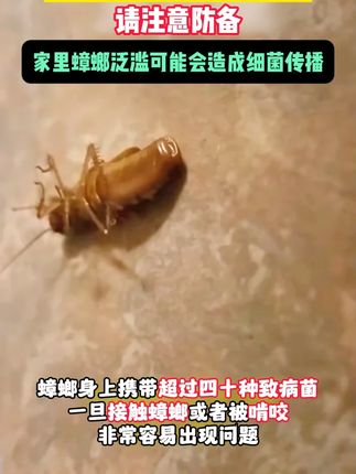 比#蚊子 #苍蝇 还招人烦的生物非蟑螂莫属了,不敢相信我家竟然有那么多,这个#蟑螂神器 是我用过比较有效的一款了#除蟑螂