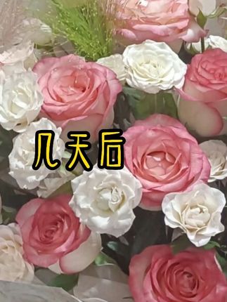 CPN小剧场:见家长篇(748) #博君一肖 #肖战 #王一博 #我的cp天下第一甜 #我的cp是真的