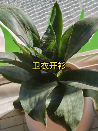 秋季男款卫衣开衫连帽休闲运动宽松大码潮流青少年学生外套秋冬季 #开衫卫衣 #外套 #休闲外套