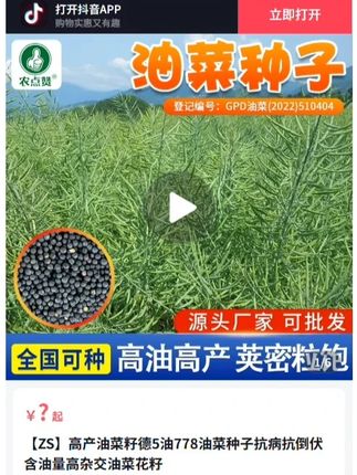 大家今年如果要种植一款好的油菜品种,就来选择这款德5油778 #油菜 #油菜种植 #油菜籽 #油菜种子 #油菜种
