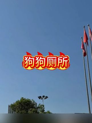 考拉胖胖狗狗厕所小型中型犬大号尿盆尿盘狗尿盆便便神器宠物必备#宠物好物 #宠物用品 #宠物用品推荐 #萌宠好物 #养宠必备