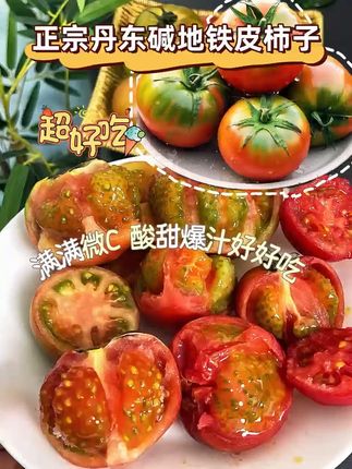 真的绝了!还是小时候才吃过这种口感西红柿,这是我回购很多次的碱地西红柿,真的是太好吃了,自然成熟不催熟,都是果农现摘现发,特别新鲜,每个个头都很大,皮薄肉厚,口感沙甜沙甜的西红柿味特浓郁,一口下去就像回到小时候,没吃过的姐妹一定要尝尝,真的太好吃了!#丹东铁皮柿子 #快来一起尝个鲜 #清甜多汁 #休闲水果 #还是小时候的味道