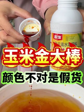 玉米金大棒,颜色不对是假货#玉米种植 #玉米高产 #玉米种植技术 #玉米增产 #玉米金大棒