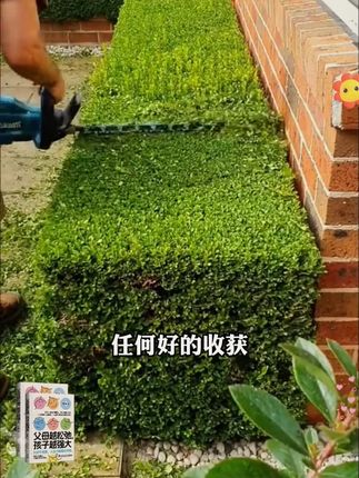 家长一定要读读这本《父母越松弛孩子越强大》,学会育儿的正确方法,孩子会越来越感恩!#育儿 #家庭教育 #家长必读