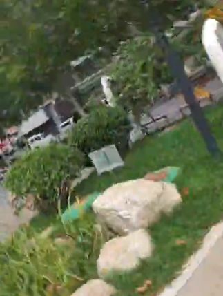 2025新款可折叠伸缩发箍女旅行便携带洗脸短发头箍高颅顶#发箍 #可折叠发箍 #便携发箍 #发箍推荐 #发箍分享