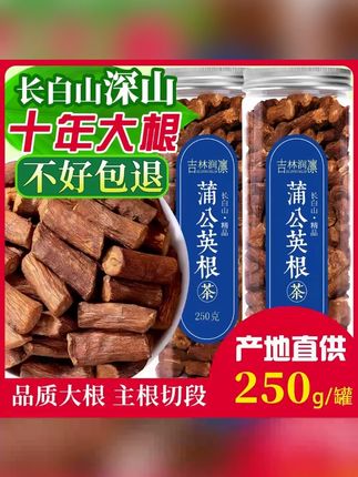 【长白山蒲公英根茶】纯特产250/500g天然正品正宗非特级炒熟的东北 #蒲公英根茶 #蒲公英根 #养生茶 #蒲公英根泡水