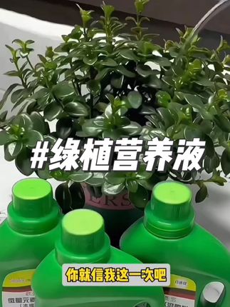 #营养液 #绿植营养液通用型 #绿植盆栽