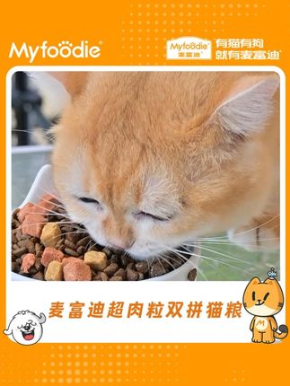 别的不说!就这大块的冻干哪只猫咪能拒绝啊~ #麦富迪三文鱼双拼 #麦富迪原生鲜肉粮 #萌宠好物 #厂家直发 #双11