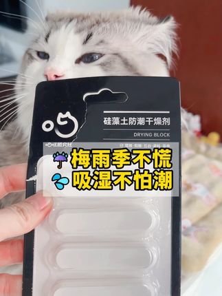 下雨天梅雨季猫粮受潮变质 吃了后果很严重宠粮干燥条吸湿不怕潮 #萌宠好物 #科学养宠攻略 #新手养猫 #防潮防霉 #布偶猫糯米糕